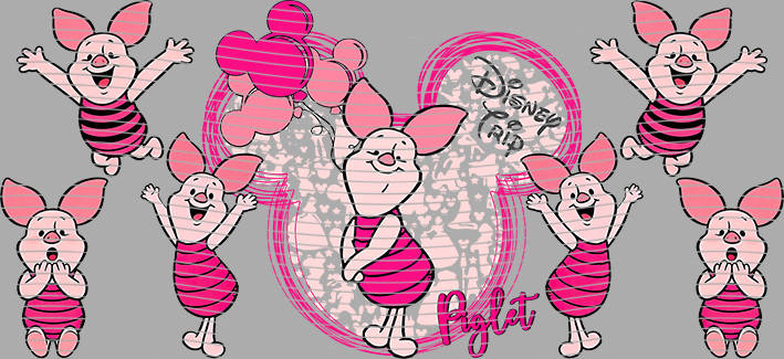 16oz Disney style-D-1244